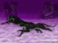 AnImmortalLegend.jpg
